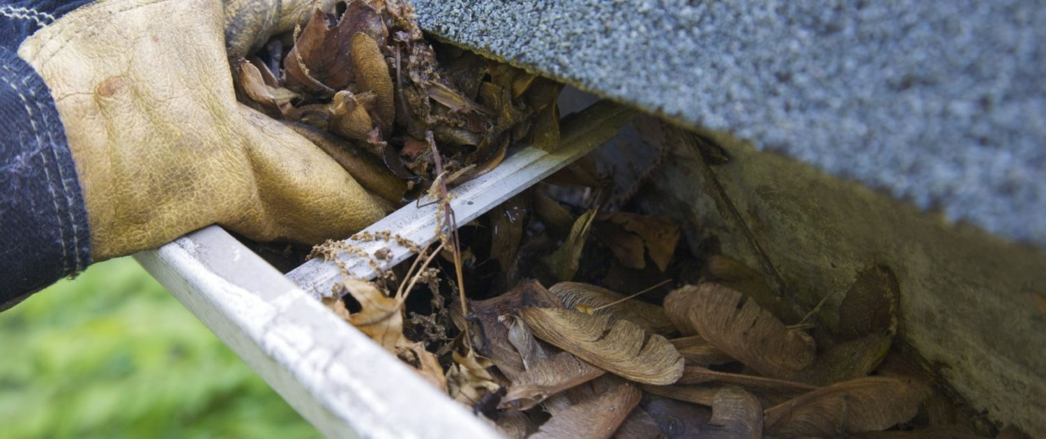 gutter cleaning vancouver bc